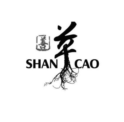 善草