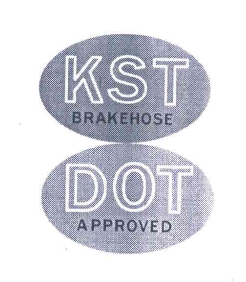 KST BRAKEHOSE DOT APPROVED