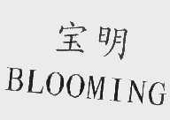 宝明   BLOOMING