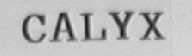 CALYX