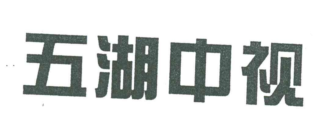 五湖中视