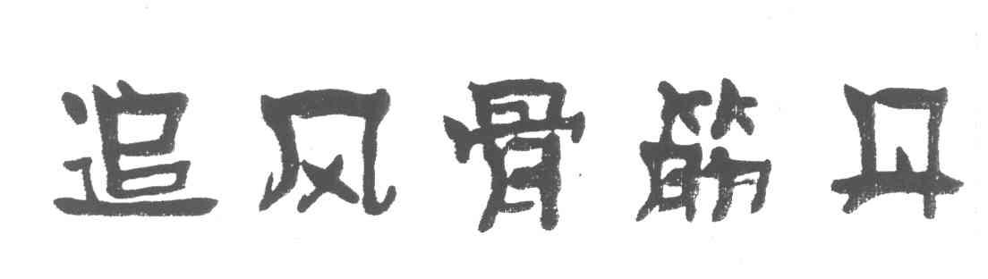 追风骨筋丹
