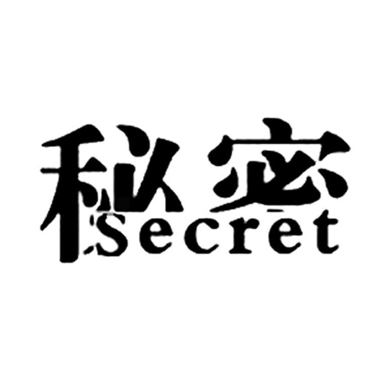 秘密 SECRET