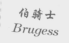 伯骑士   BRUGESS