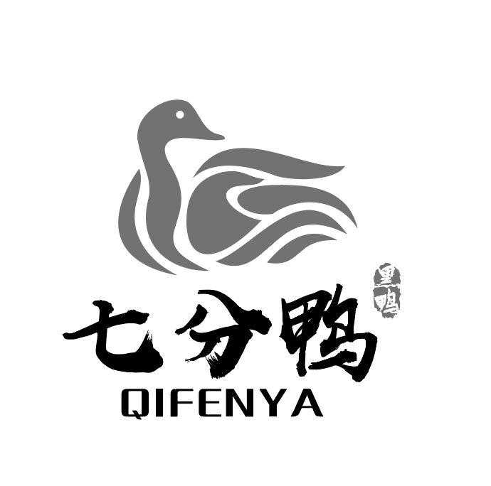 七分鸭 黑鸭
