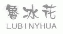鲁冰花;LUBINYHUA