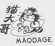 猫大哥