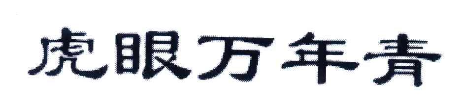 虎眼万年青