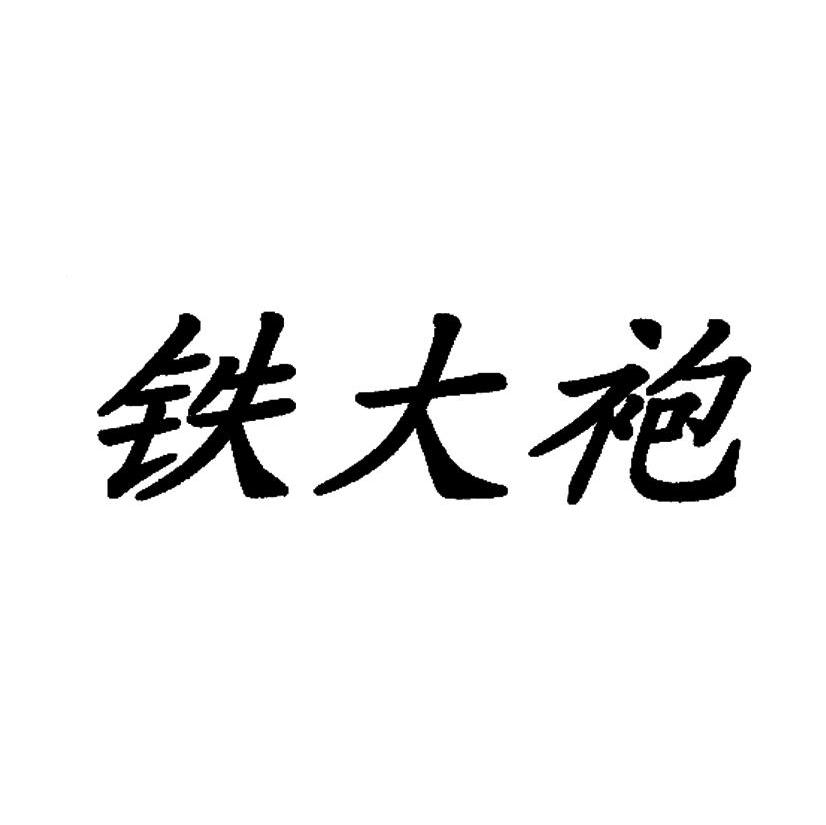 铁大袍