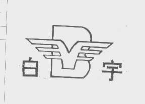 白宇