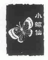 小蝶仙