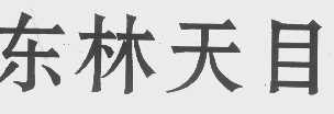 东林天目