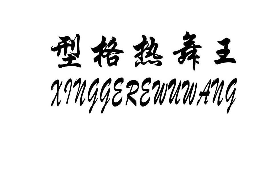 型格热舞王