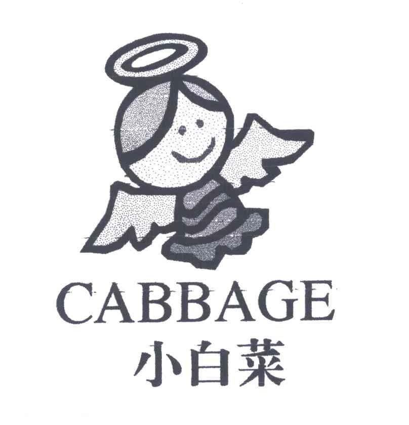 小白菜;CABBAGE