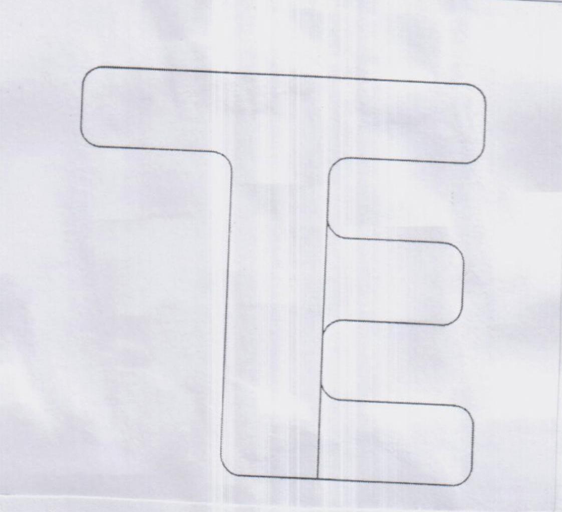 TE