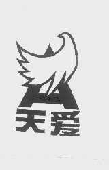 天爱