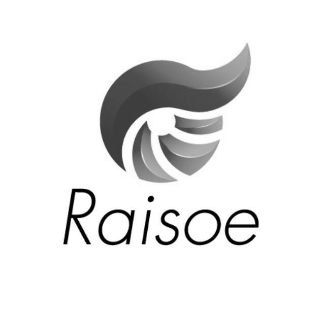 RAISOE