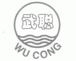 武聪