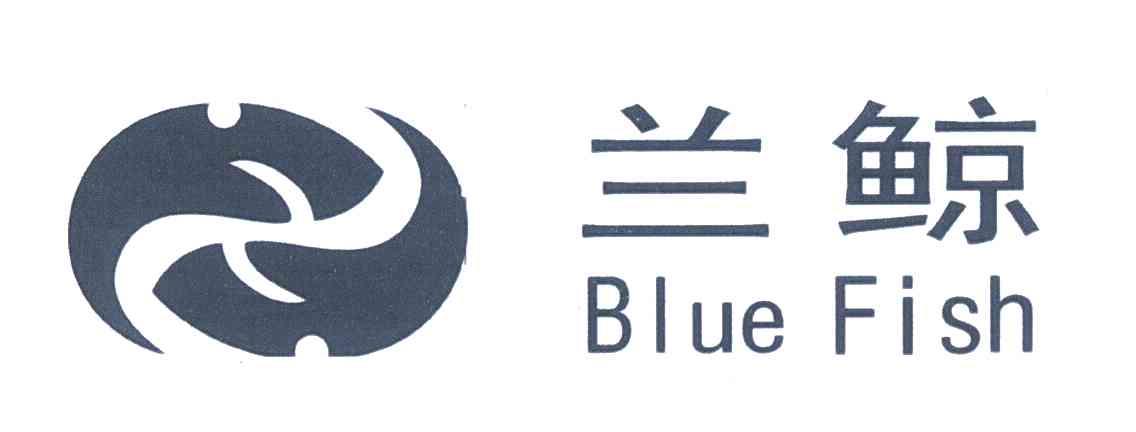 兰鲸 BLUE FISH