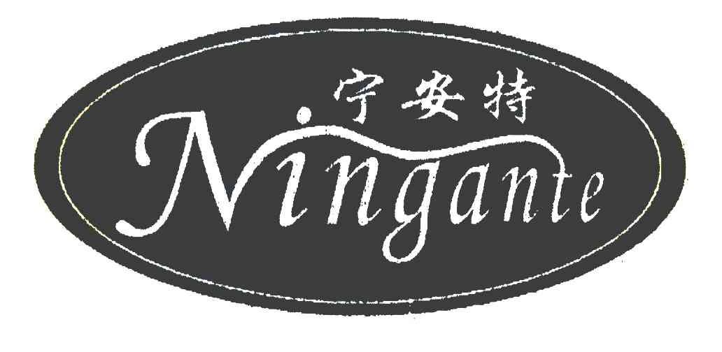 宁安特