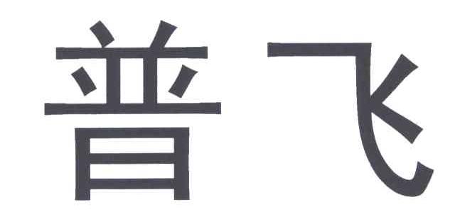 普飞