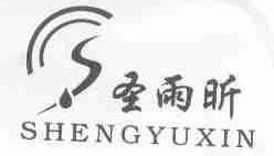 圣雨昕