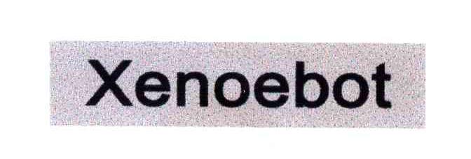 XENOEBOT