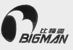 比格曼   BIGMAN