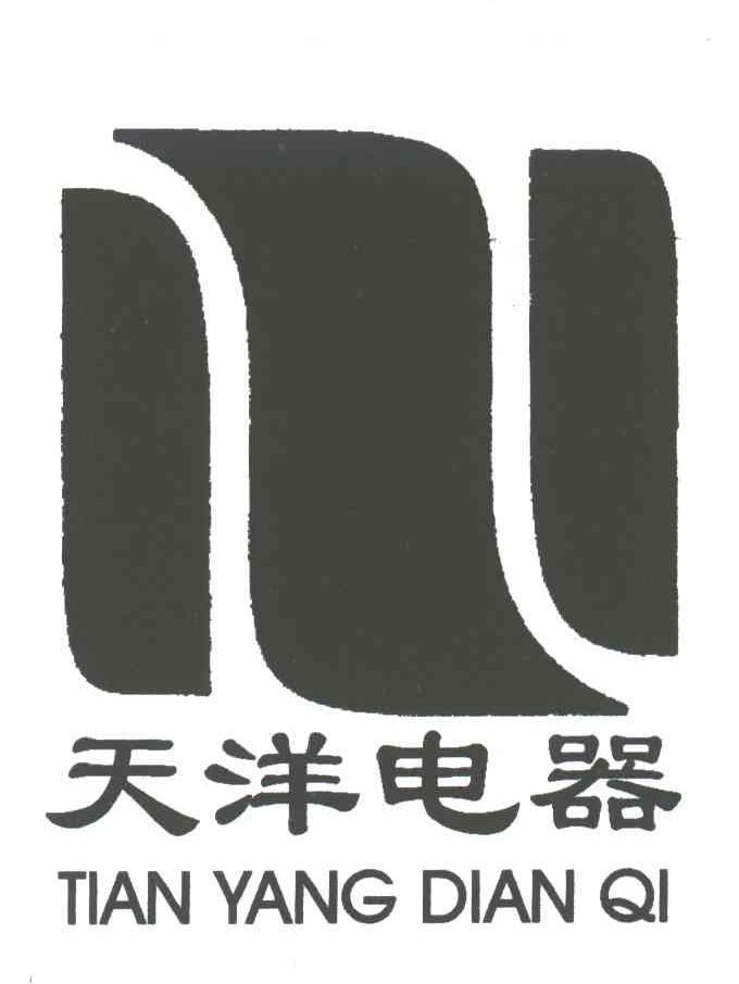 天洋电器