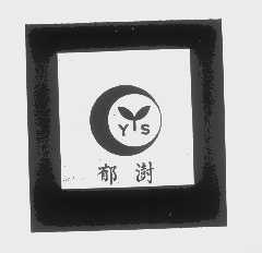 郁澍