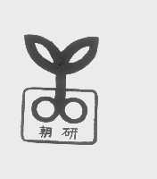 朝研