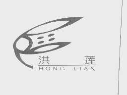 洪莲