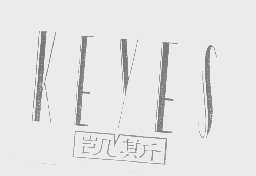 凯斯   KEYES