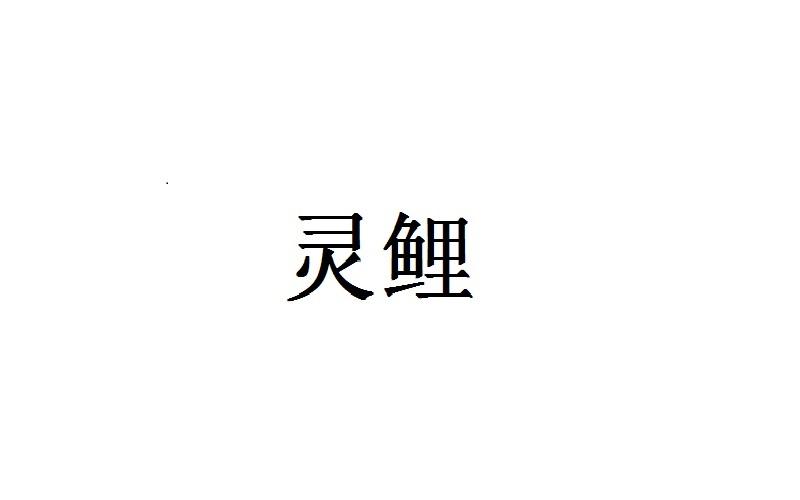 灵鲤