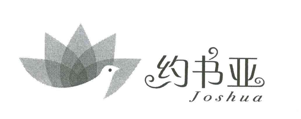 约书亚;JOSHUA