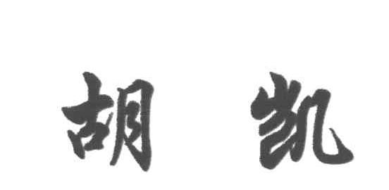 胡凯