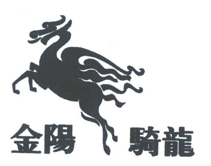 金阳骑龙