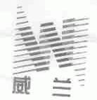 威兰