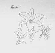 麦可馨    MAXINE