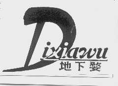地下婺