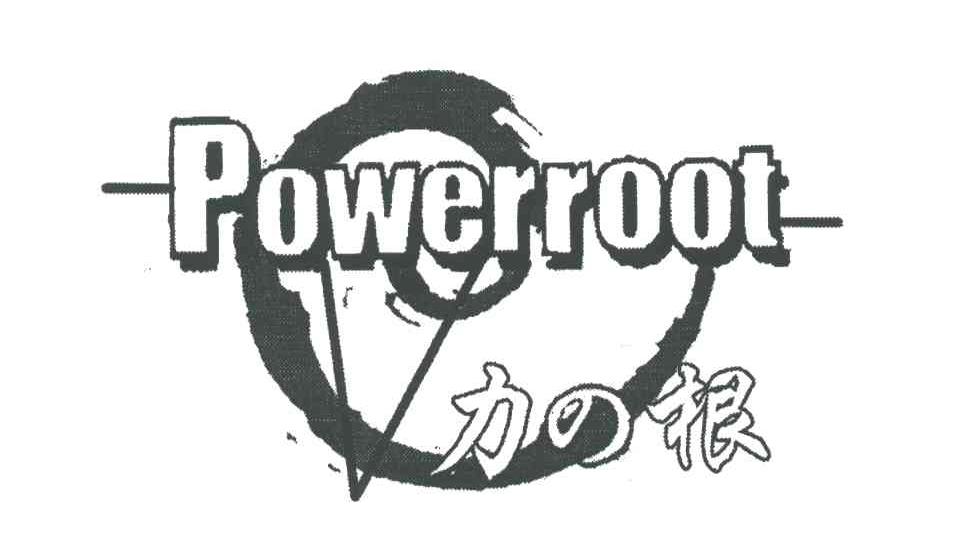 力根;POWERROOT