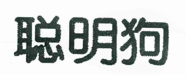 聪明狗
