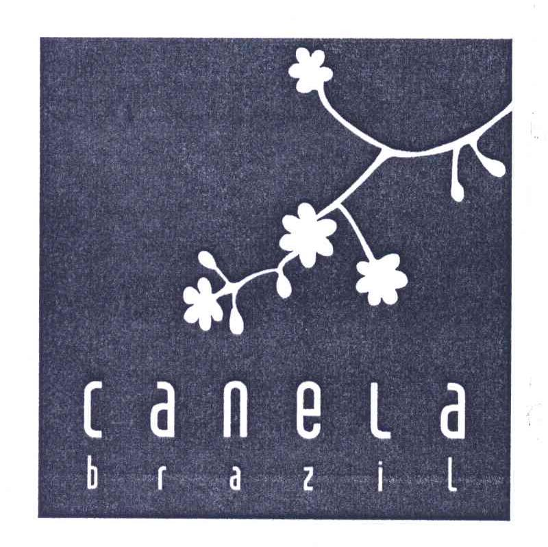 CANELA BRAZIL