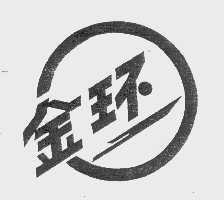 金环