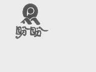 盼盼
