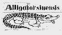 ALLIGATORSINENSIS