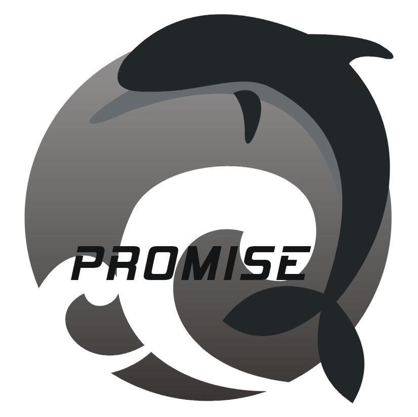 PROMISE