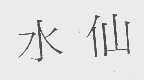 水仙