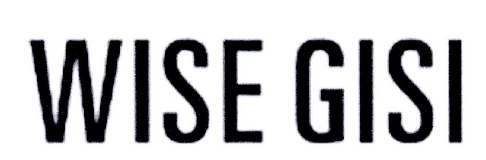WISE GISI