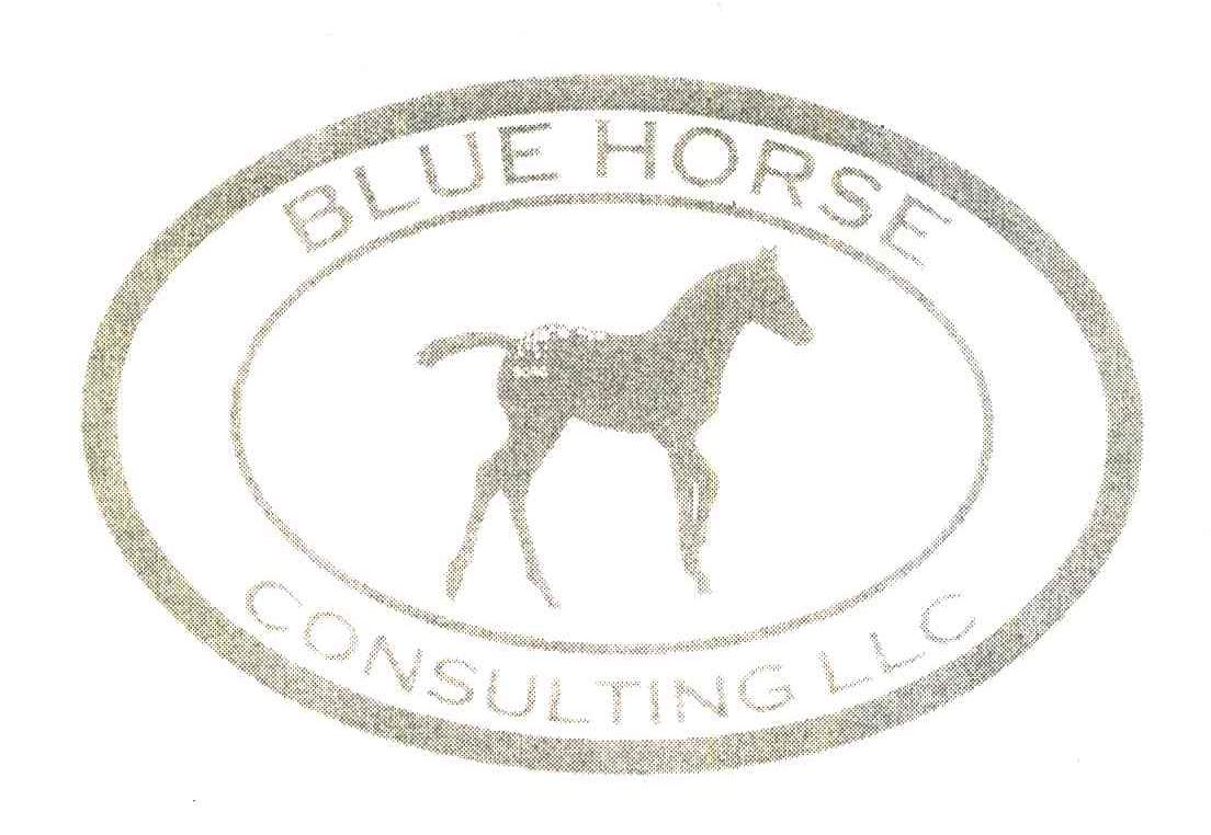 BLUE HORSE;CONSULTING LLC